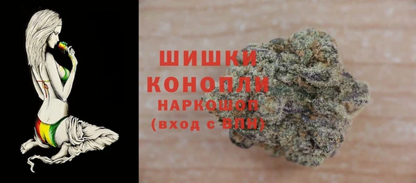 бошки Ладушкин