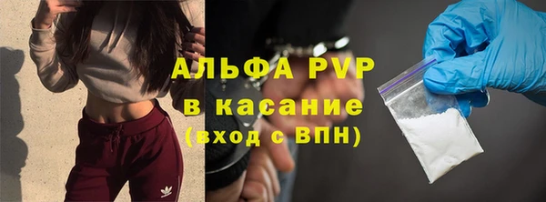 бошки Ладушкин