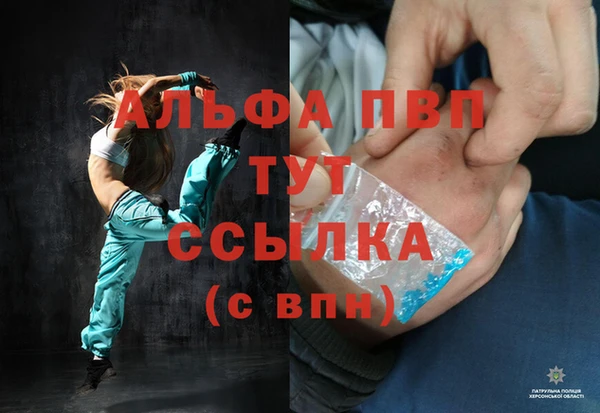 бошки Ладушкин
