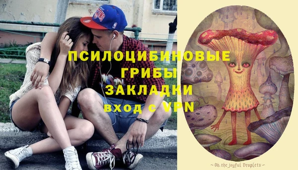 бошки Ладушкин