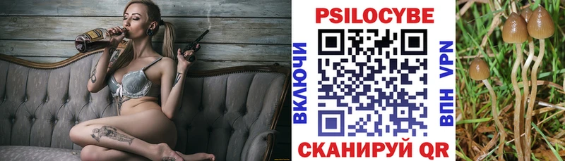 Галлюциногенные грибы мицелий  Купить закладки  Серов 